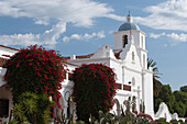 Große blühende Shurbs vor weißer Kirche mit Steeple und blauem Himmel und Wolken; Oceanside Kalifornien Vereinigte Staaten von Amerika