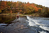 A Horse And Rider Crossing The River In Autumn; Northumbeland England