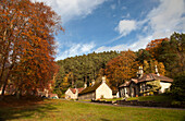 Häuser in einer Gemeinde mit Bäumen in Herbstfarben; Northumberland England
