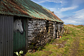 Ein Pferdekopf lugt aus einer Stalltür; Argyll Schottland
