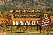Napa Valley Weinberg im Herbst; Kalifornien Vereinigte Staaten Von Amerika