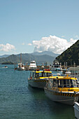 Boote im Hafen von Picton; Picton, Neuseeland