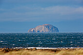 Bass Rock; Lothian Scotland