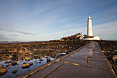 Gepflasterter Weg zum Leuchtturm auf St. Mary's Island; Northumberland England