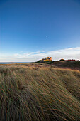 Tall Grass Blowing In The Wind With Bamburgh Castle In The Distance; Bamburgh Northumberland England