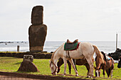 Pferde am Moai von Ahu Tautira in Hanga Roa, Rapa Nui (Osterinsel), Chile