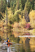 Männlicher Kajakfahrer paddelt auf einem ruhigen Fluss im Herbst, dessen Farben sich im Wasser spiegeln; Calgary Alberta Kanada