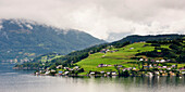 Houses On A Hill Along The Water's Edge Of Hardangerfjord; Hardangervidda Norway