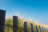 Weathered Wooden Picket Fence and Sea Grass at Beach