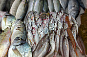Nahaufnahme von Fisch auf dem Fischmarkt