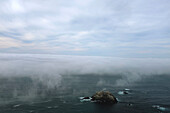 Nebel über der McWay Cove, Big Sur, Kalifornien, USA