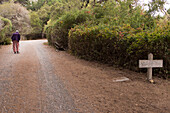 Rear View of Elderly Woman walking on Dirt Road with the aid of Walking Canes