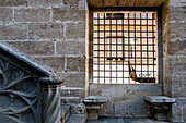 Zwei Steinbänke unter einem vergitterten Fenster, Lonja de la Seda, Seidenbörse, Valencia, Spanien