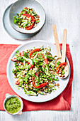 Vegan sprout and coriander salad