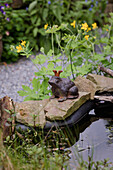 Garden pond with frog figurine and buttercup