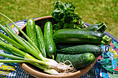 White spring onions, parsley, cucumbers and courgettes