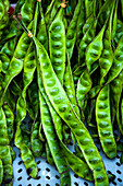 Stink beans (Parkia Speciosa, also Satoh Kei Meit, Asia)
