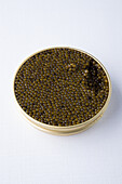 Beluga caviar (black) on spoon.