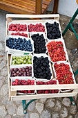 A Variety of Fresh Fruit