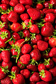 Fresh strawberries (picture-filling)