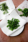 Fried herbs - basil, parsley and rosemary