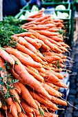 Carrots for a Sale at Market