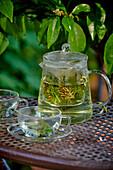 Herb infusion