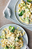 Pasta with broccoli and cashew hollandaise sauce