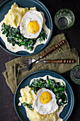 Mashed potatoes with creamed spinach and fried egg