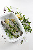Oven-ready trout with herbs