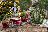 Krone gebunden aus Zweigen der Kanadischen Hemlocktanne (Tsuga canadensis) und weiße Krone auf Blumentopf, Moos und Kiefernzapfen, Winterdeko