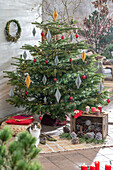 Weihnachtsdeko im Wintergarten, Kerzen, Papieranhänger und bemalte Zapfen vor geschmücktem Christbaum mit Katze