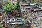 Blumenkiste mit Buchs, Schneeheide (Erica), Zapfen und Schneesterne als Dekoration im winterlichen Garten