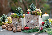 Adventsdeko auf Terrassentisch mit Kerze, Christbaumkugeln, Nüssen, Kiefernzweigen, Zapfen und Moos im Keramiktopf