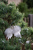 Verschneite Kiefernzweige mit Federnanhänger dekoriert im Garten