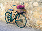 Italien, Toskana, Monticchiello. Fahrrad mit leuchtend rosa Heidekraut im Korb.