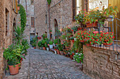 Italy, Umbria. Scenic sight in Spello, flowery and picturesque village.