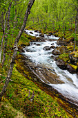 Norwegen, Nordland, Tysfjord. Storelva, der Fluss, der aus dem Stetind (Norwegens Nationalberg) fließt.