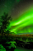Schweden, Norrbotten, Abisko. Aurora Borealis (Nordlicht) über der Abisko-Schlucht.