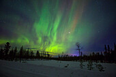 Abisko, Schweden. Jagd auf das Nordlicht (Aurora Borealis) in Schwedisch-Lappland.