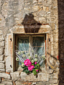 Kroatien, Rovinj, Istrien. Bunte Blumensträuße schmücken ein altes Fenster.