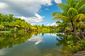 Französisch-Polynesien, Taha'a. Tropischer Dschungel spiegelt sich in der Lagune.