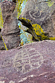 Mexiko, Baja California Sur, Sierra de San Francisco. Petroglyphen an der abgelegenen Quelle La Higuerita.