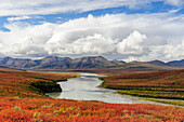 USA, Alaska, Noatak National Preserve. Arktische Tundra in Herbstfarben entlang des Noatak River.