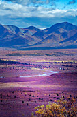 Alaska, Denali-Nationalpark. Herbstlandschaft mit Tal und Bergen.