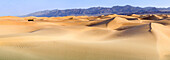 Death Valley. Landscape of Mesquite Flats Sand Dunes.