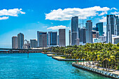 Wolkenkratzer im Stadtzentrum, Miami, Florida
