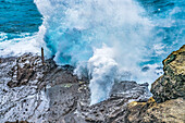 Halona Blowhole Aussichtspunkt, Oahu, Hawaii. Wellen rollen in Felsformation und schießen Gischt in die Luft