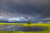 Stormy clouds over wetlands habitat in the Flathead Valley, Montana, USA