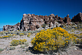 USA, Nevada. Caliente. Basin and Range National Monument,